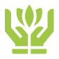 hands with flower